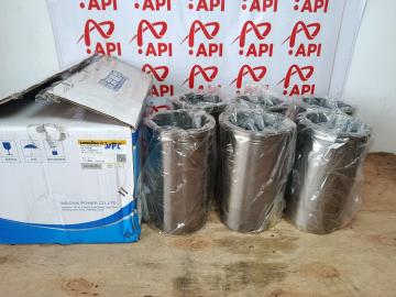 Xi lanh Động Cơ Weichai WP6 Chính Hãng - API